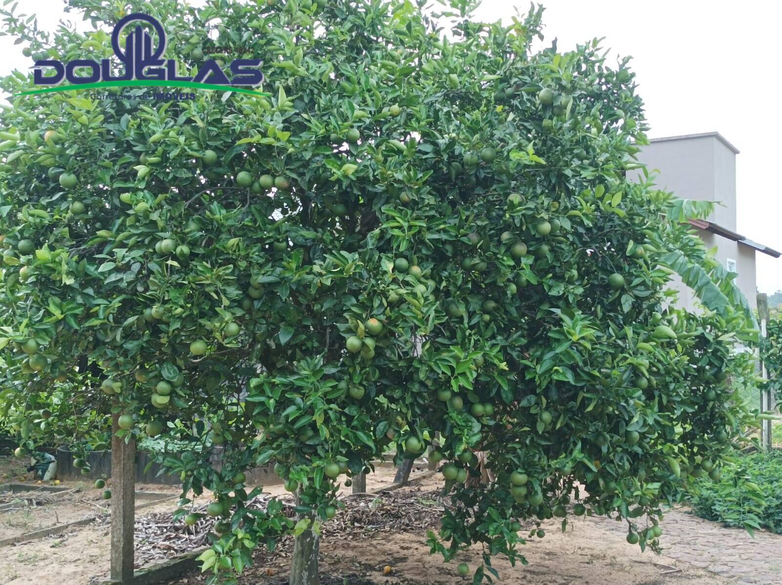 Casa, 2 quartos - Foto 19