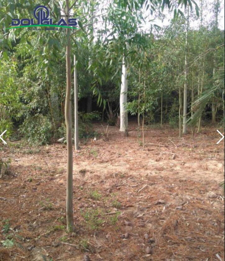 Terreno, 2 m² - Foto 3