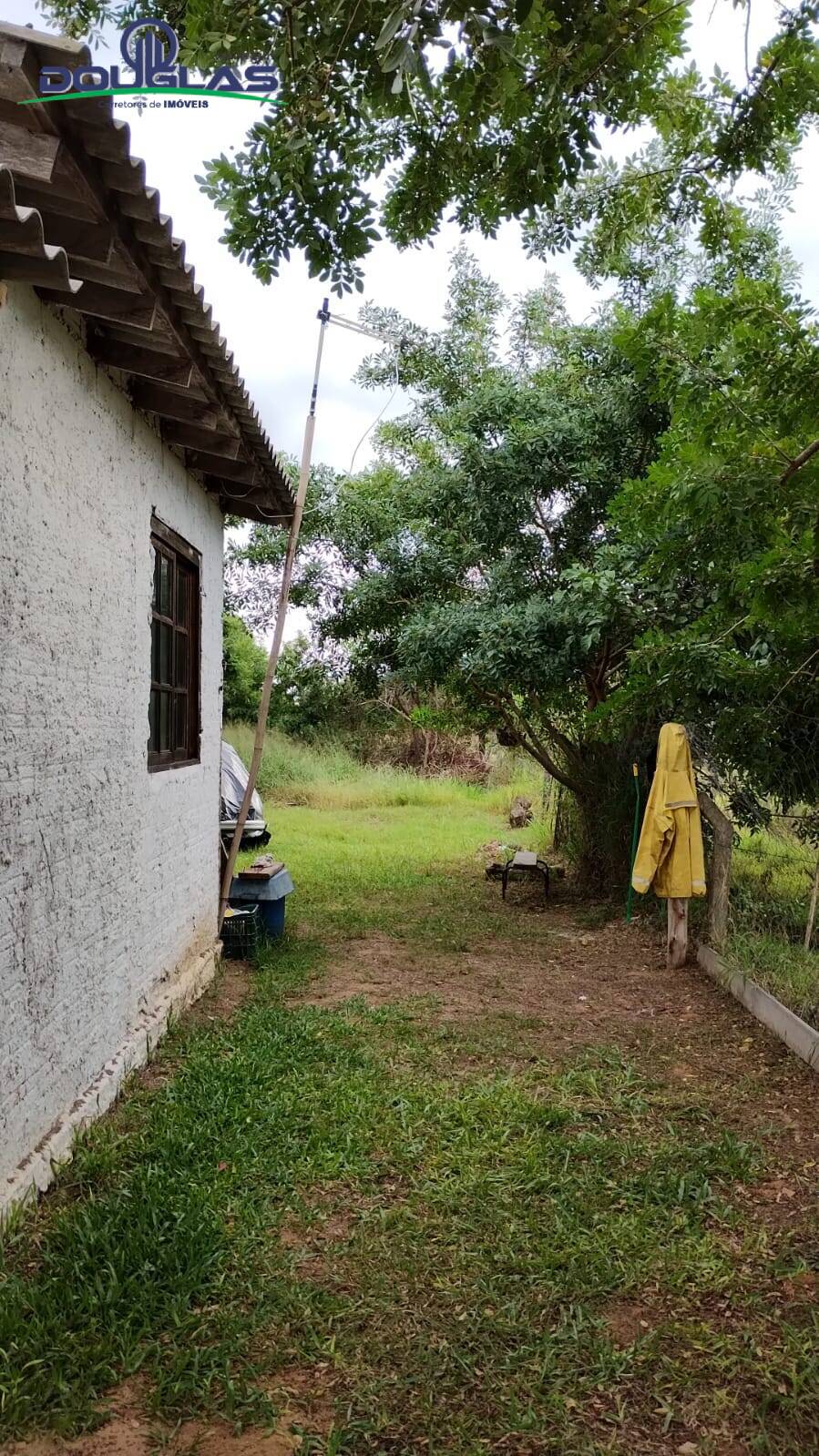 Casa, 4 quartos - Foto 2