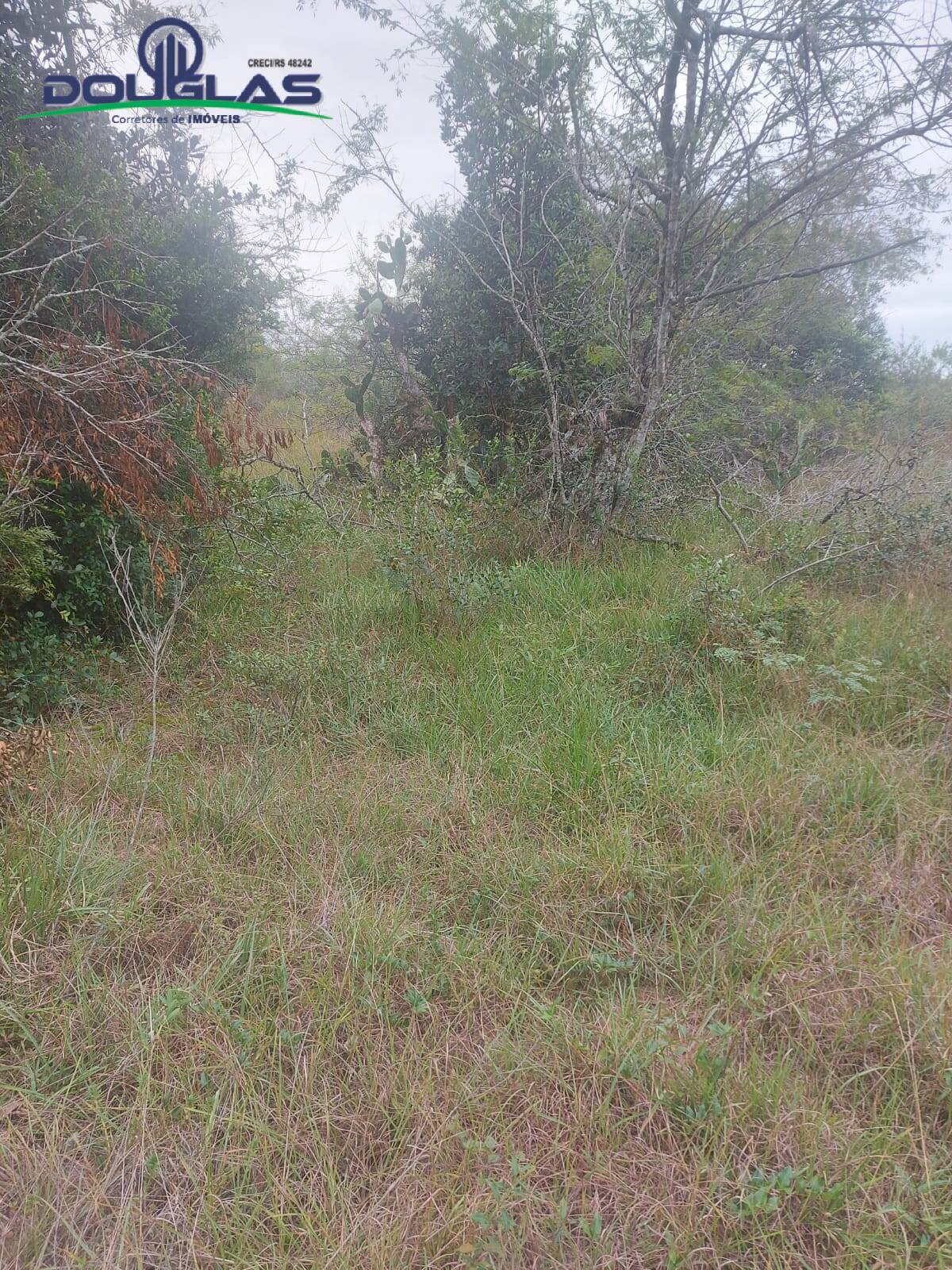 Prédio Inteiro à venda, 20000m² - Foto 5