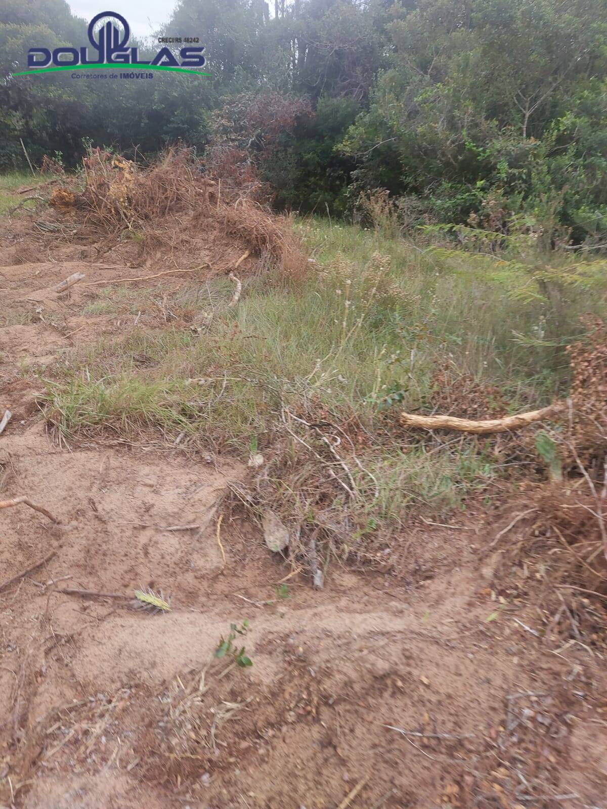Prédio Inteiro à venda, 20000m² - Foto 7