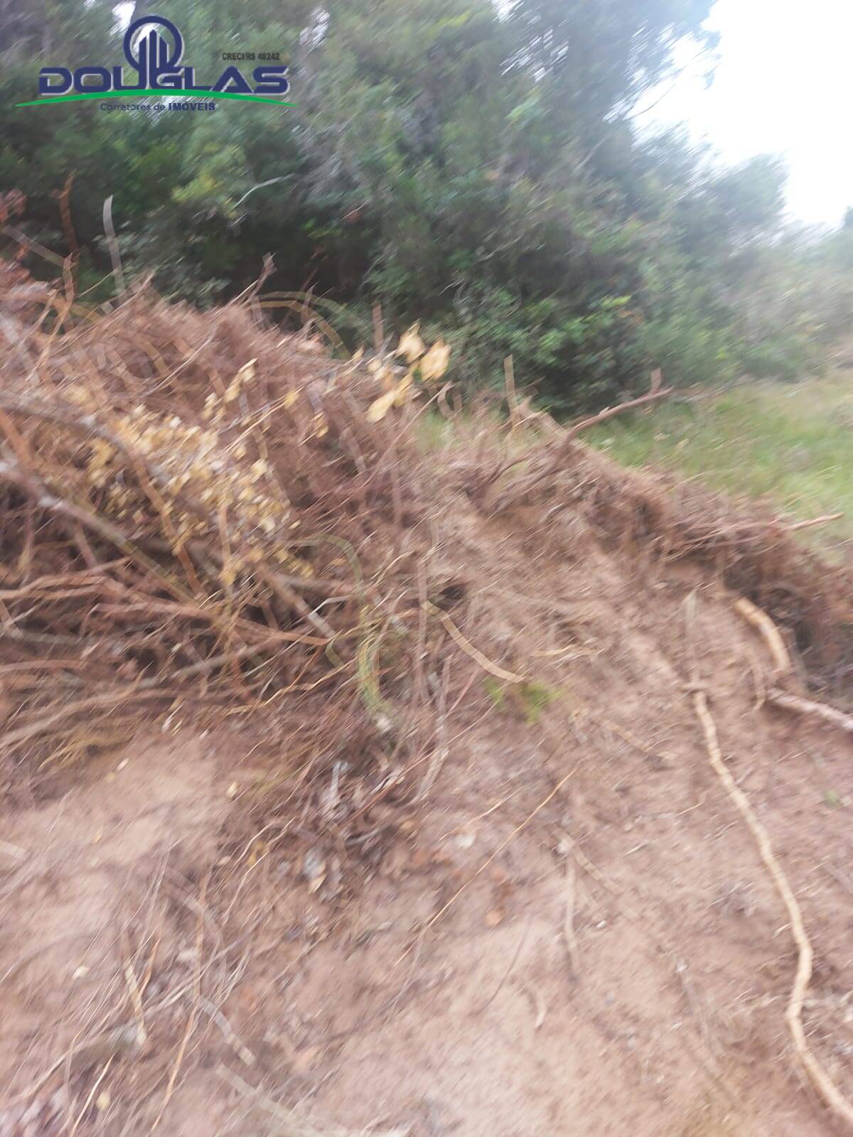 Prédio Inteiro à venda, 20000m² - Foto 8