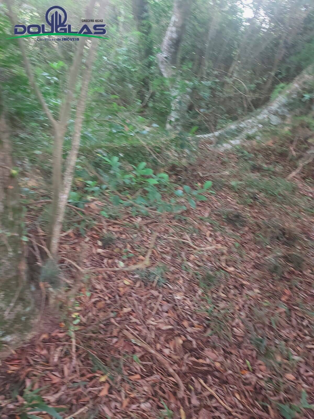 Prédio Inteiro à venda, 20000m² - Foto 11