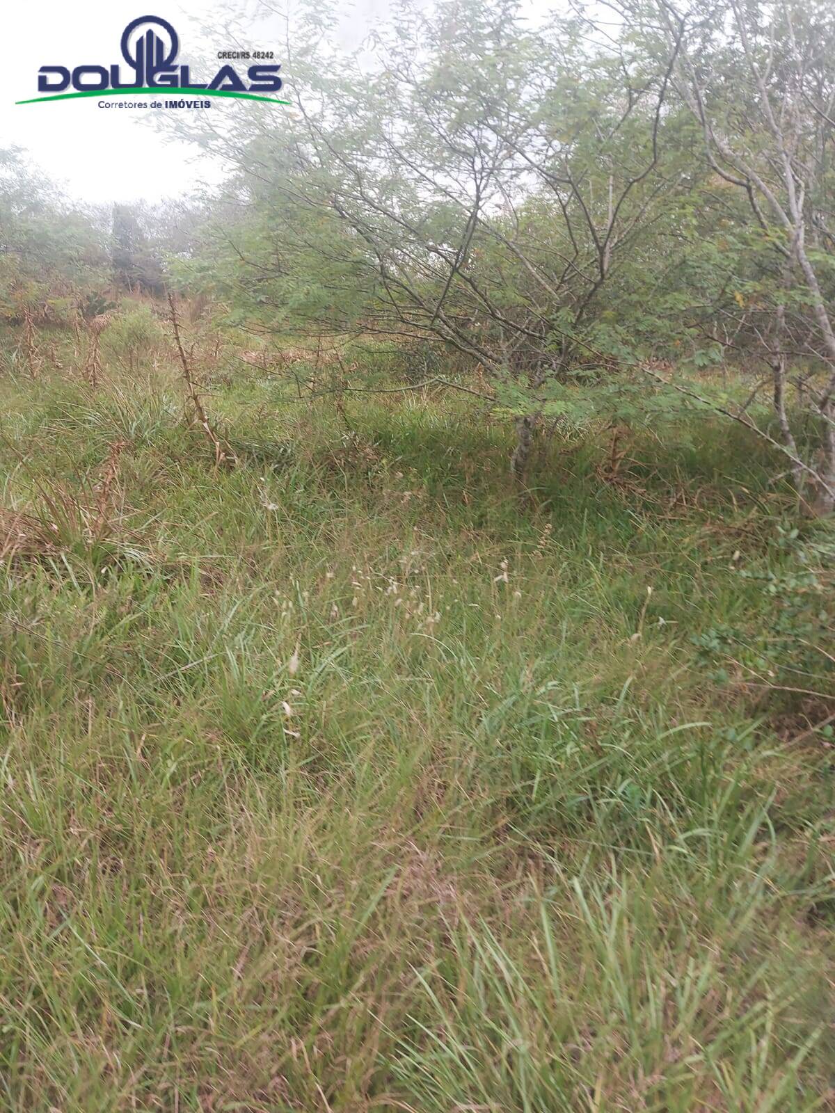 Prédio Inteiro à venda, 20000m² - Foto 15