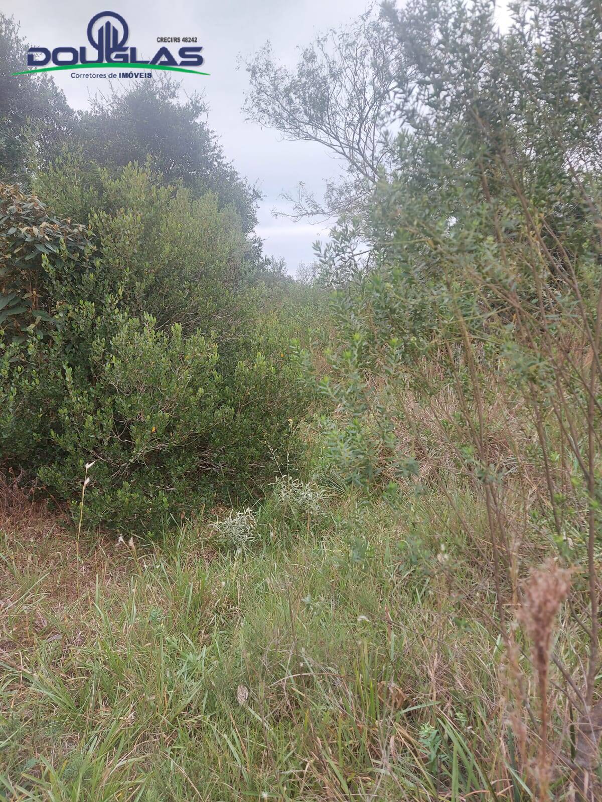 Prédio Inteiro à venda, 20000m² - Foto 16