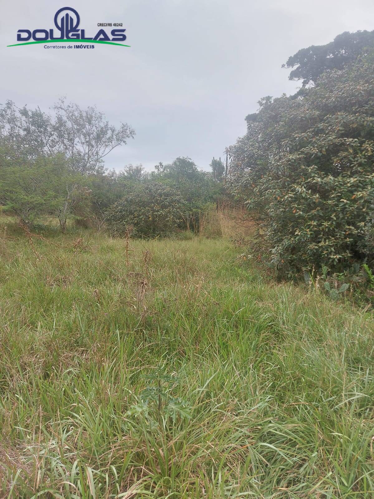Prédio Inteiro à venda, 20000m² - Foto 1