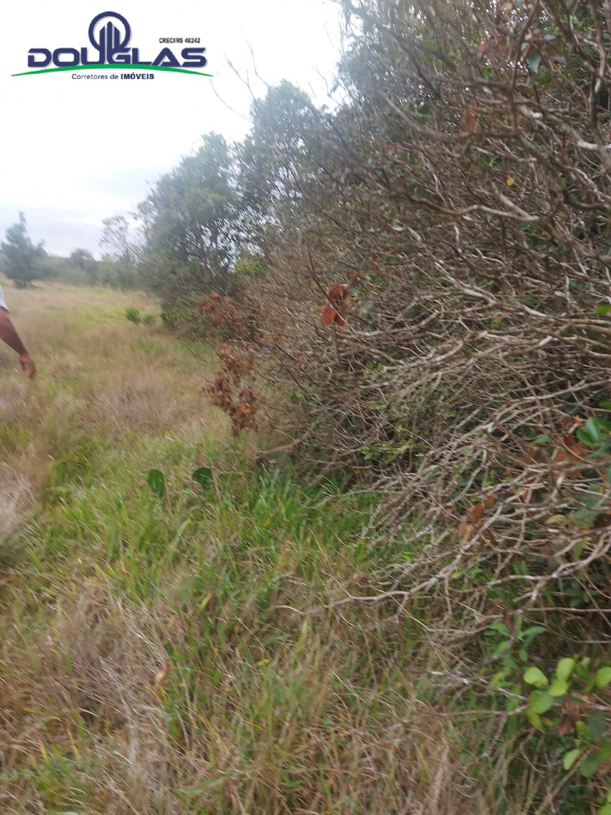 Prédio Inteiro à venda, 20000m² - Foto 2