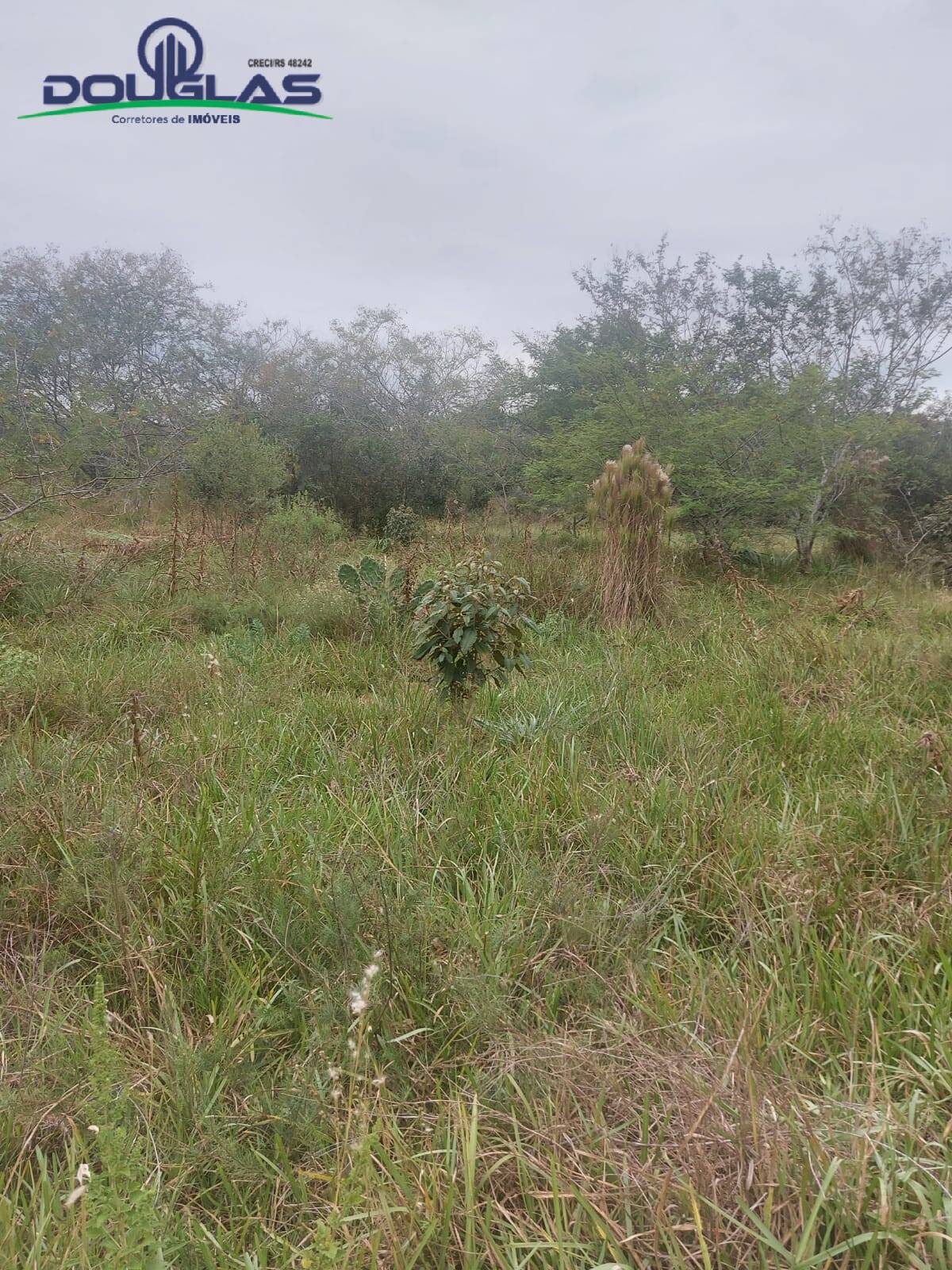 Prédio Inteiro à venda, 20000m² - Foto 17