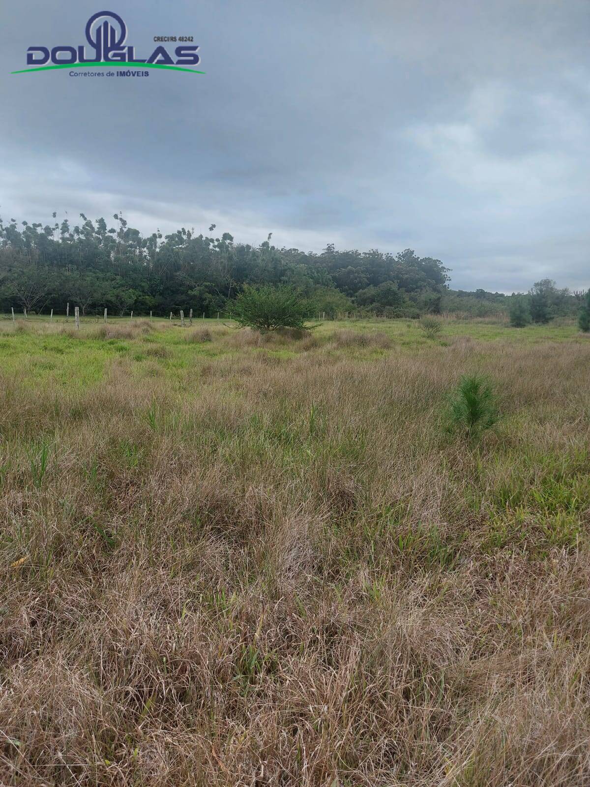 Prédio Inteiro à venda, 20000m² - Foto 18