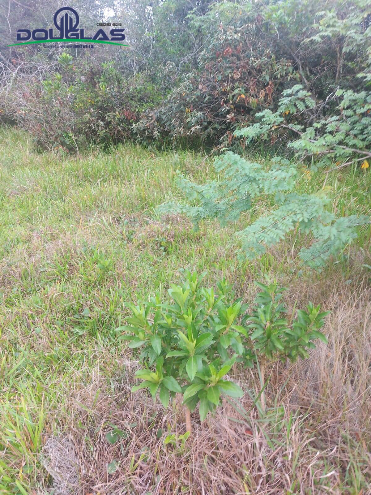 Prédio Inteiro à venda, 20000m² - Foto 19