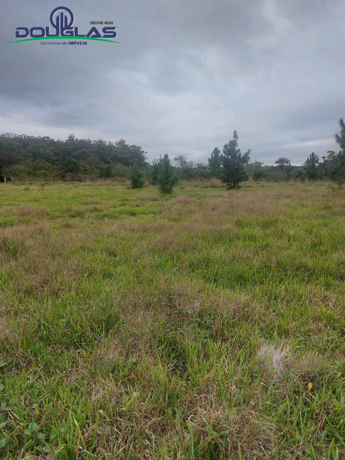 Prédio Inteiro à venda, 20000m² - Foto 3