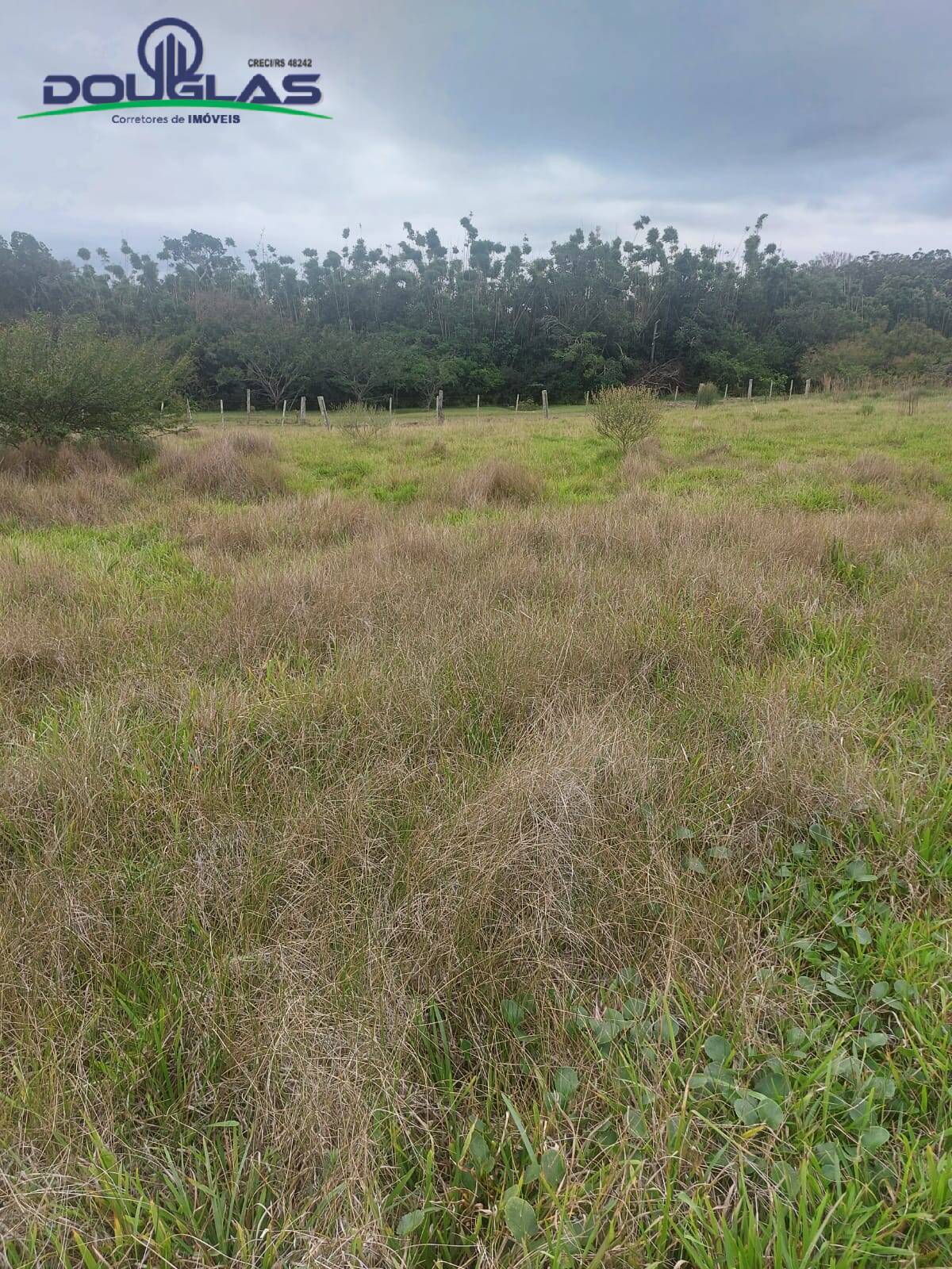 Prédio Inteiro à venda, 20000m² - Foto 20