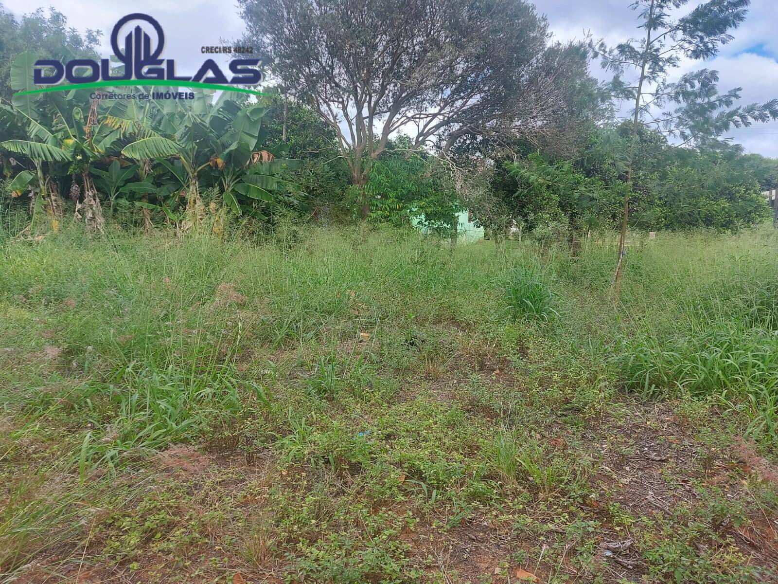 Terreno, 448 m² - Foto 2