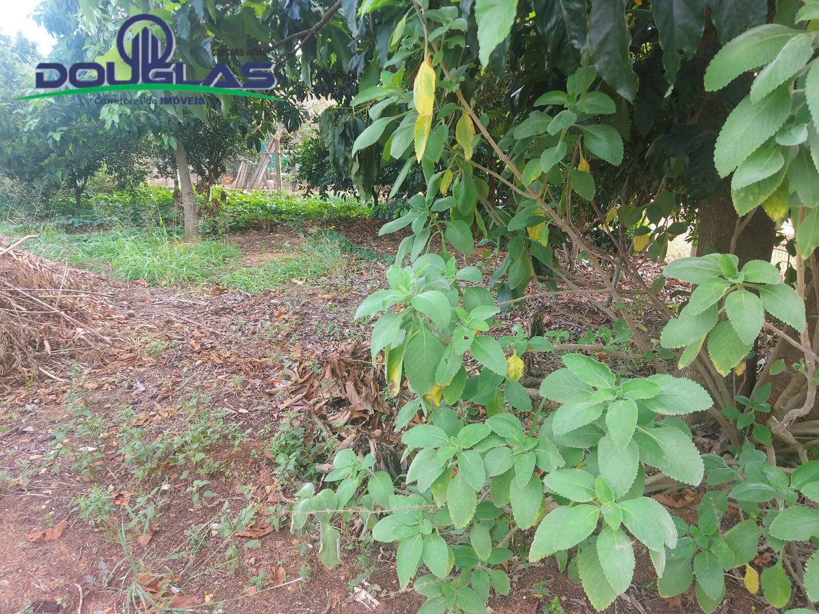 Terreno, 448 m² - Foto 3