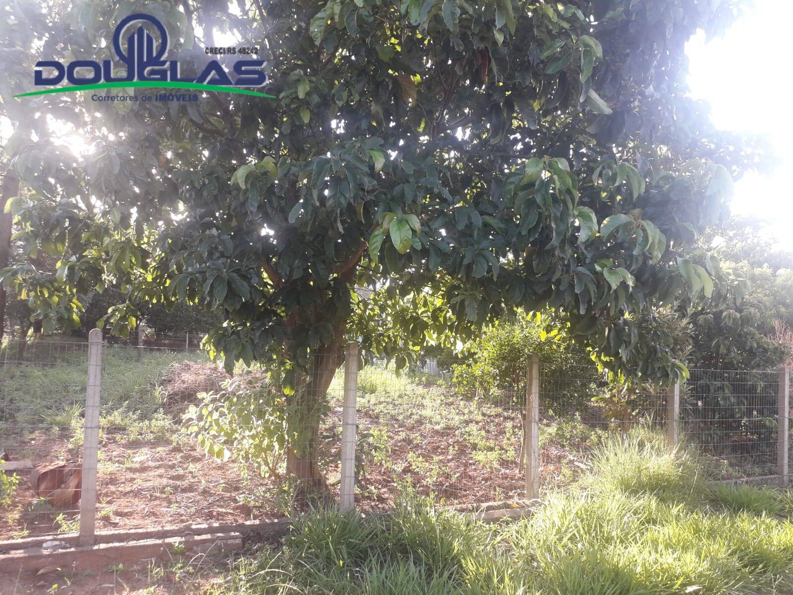 Terreno, 900 m² - Foto 7