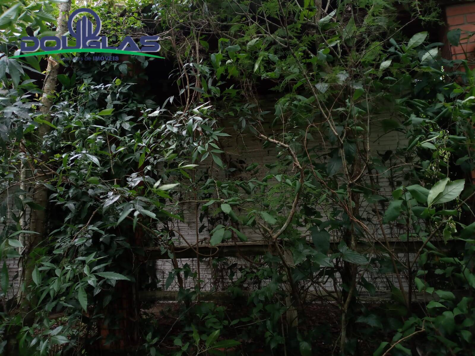 Terreno, 5 m² - Foto 9