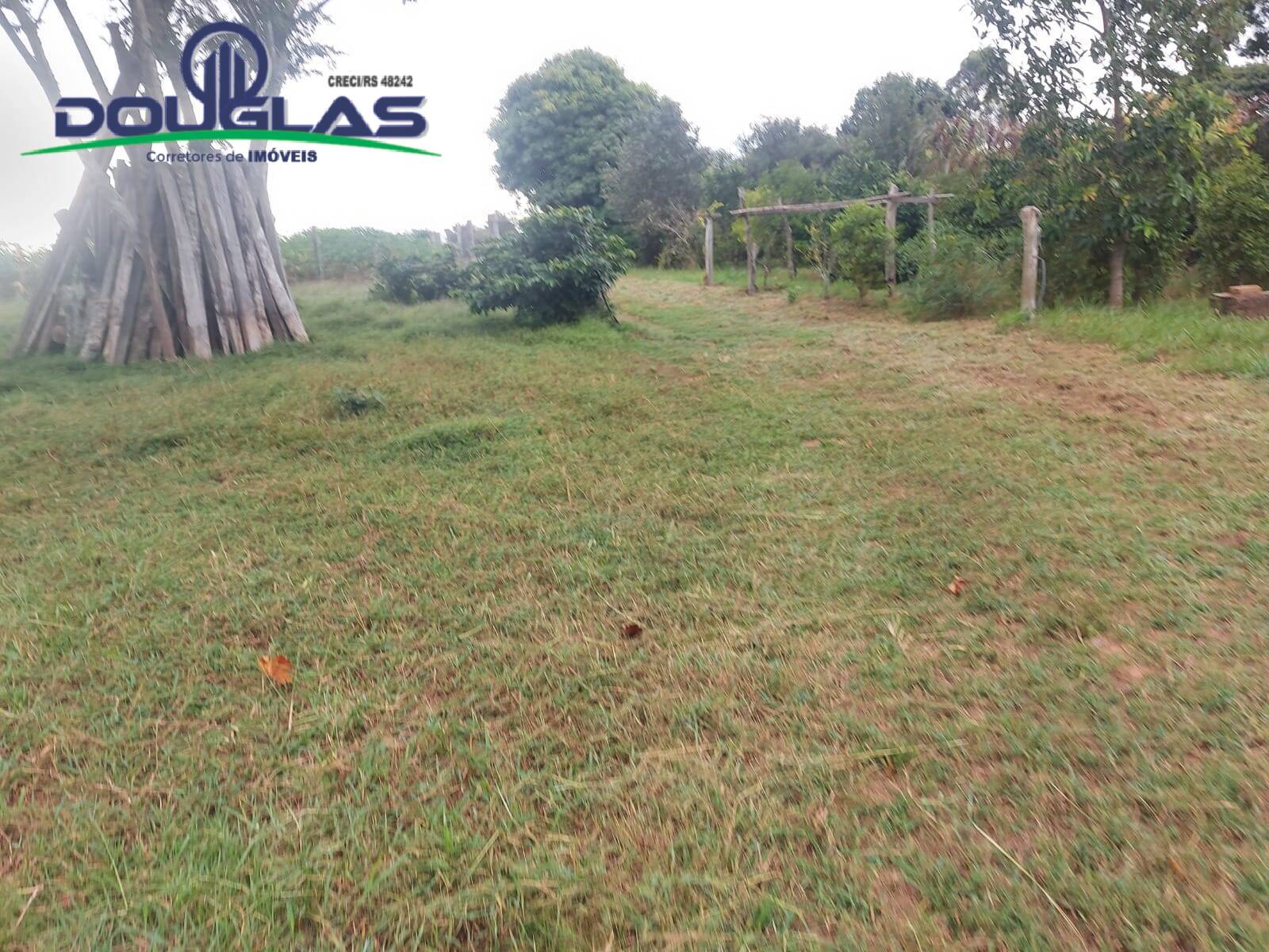 Terreno, 2 hectares - Foto 5