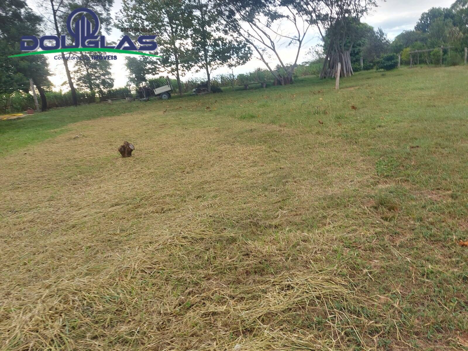 Terreno, 2 hectares - Foto 6