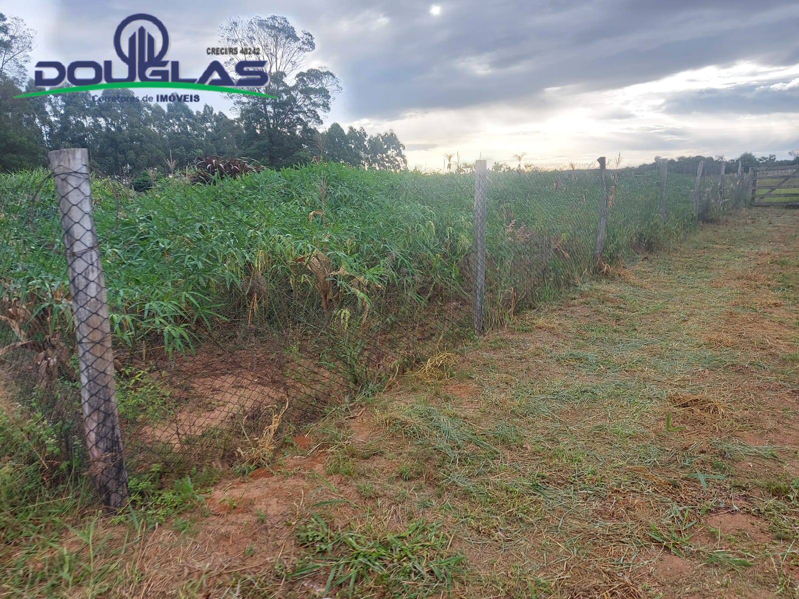 Terreno, 2 hectares - Foto 7