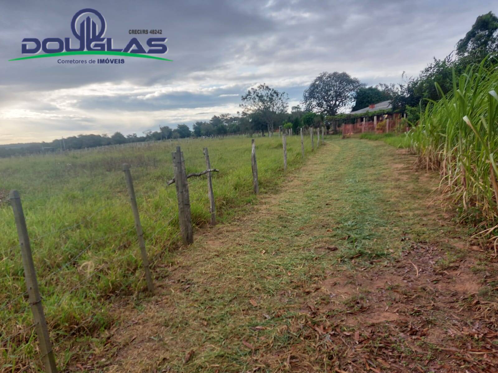 Terreno, 2 hectares - Foto 8