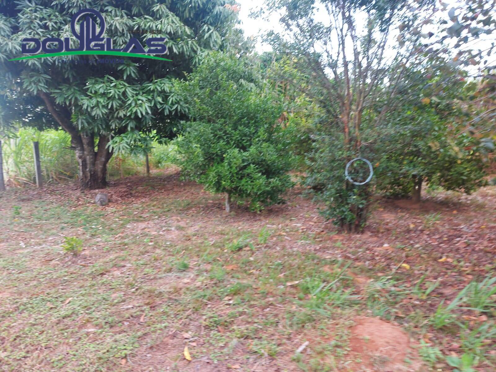 Terreno, 2 hectares - Foto 11