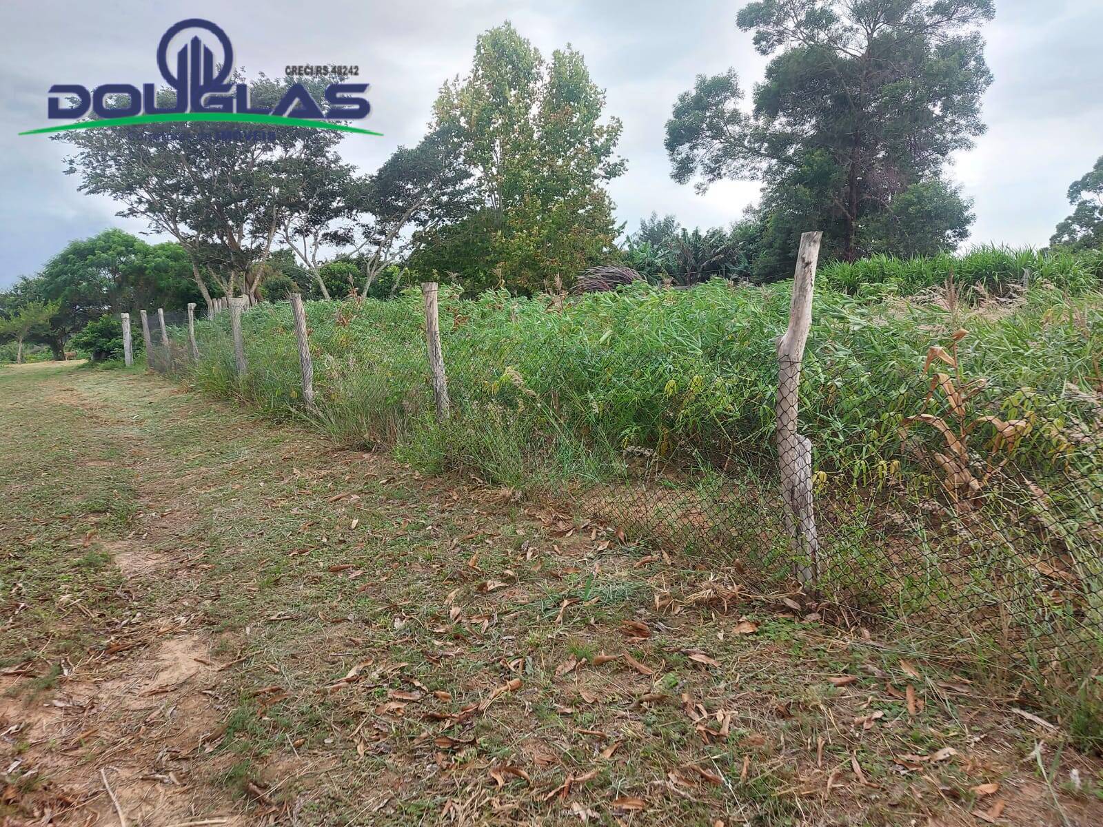 Terreno, 2 hectares - Foto 12