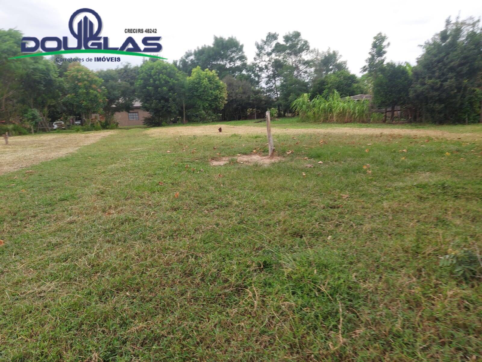 Terreno, 2 hectares - Foto 13