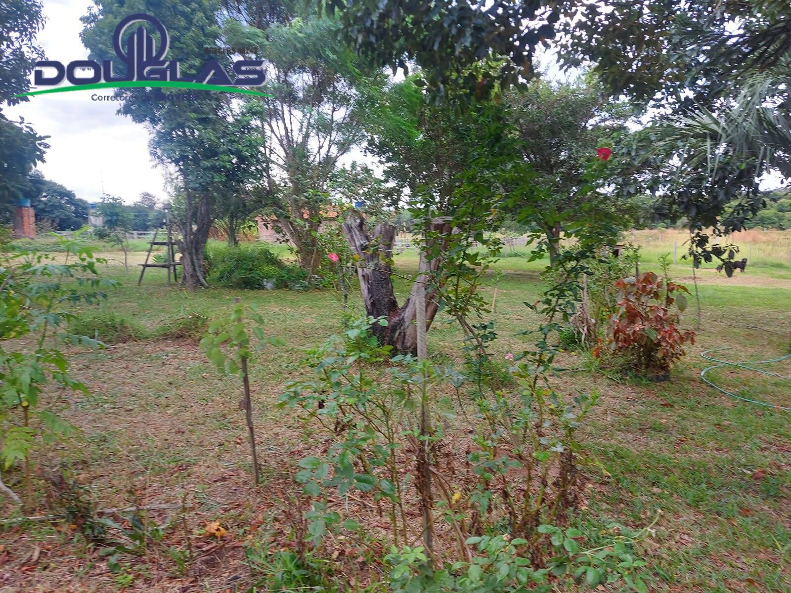 Terreno, 2 hectares - Foto 16