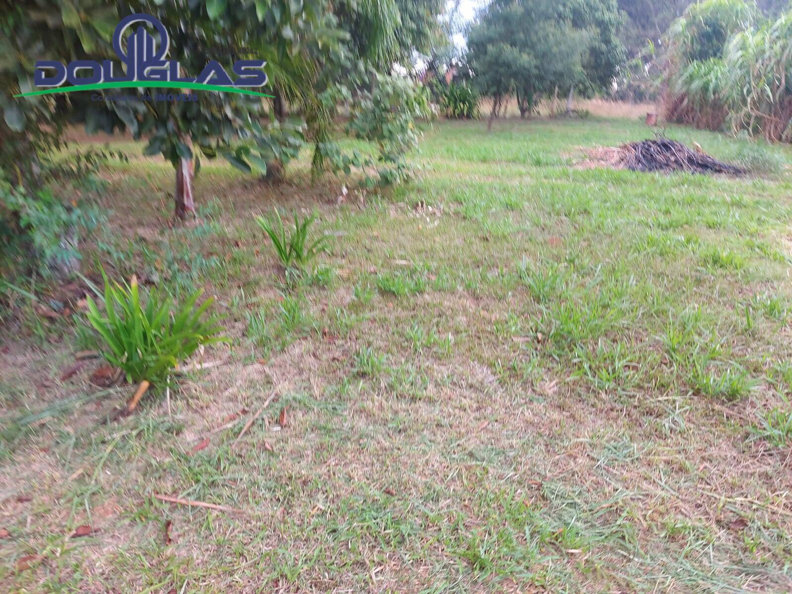 Terreno, 2 hectares - Foto 17