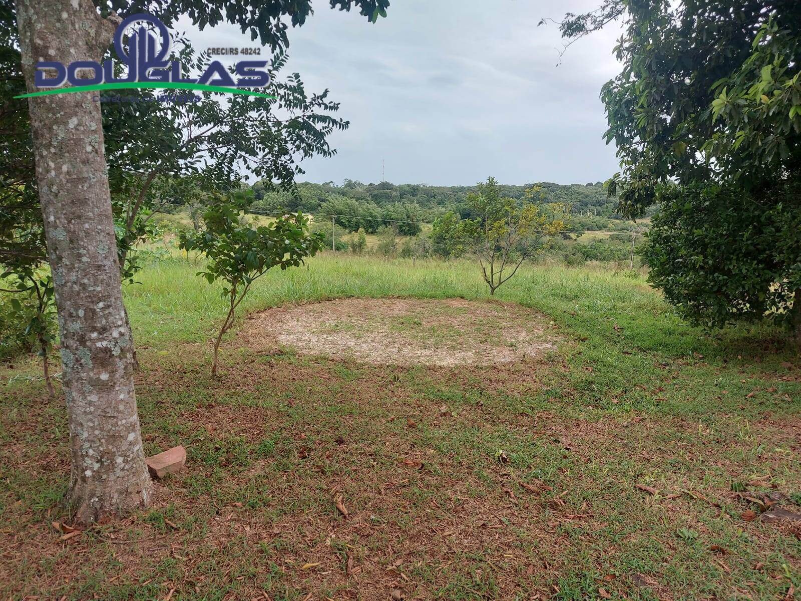 Terreno, 2 hectares - Foto 19