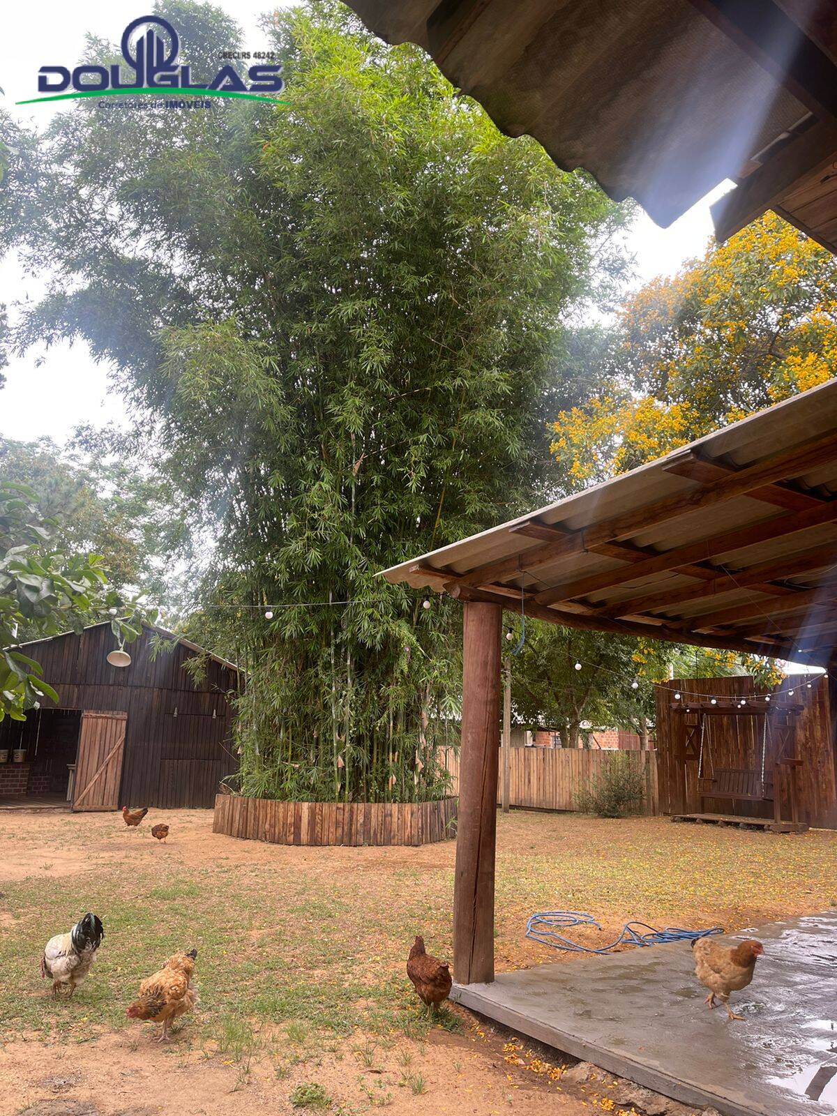 Casa, 3 quartos - Foto 27