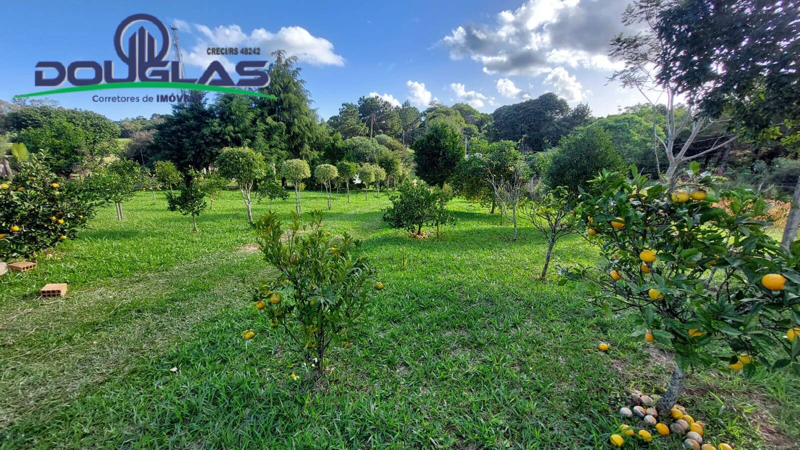 Casa, 2 quartos - Foto 24