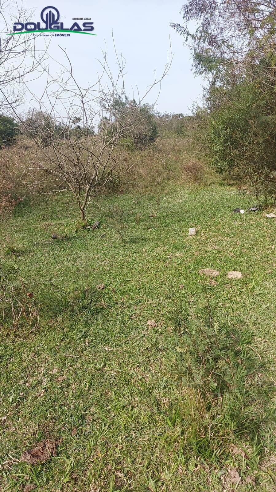 Terreno, 2 hectares - Foto 1