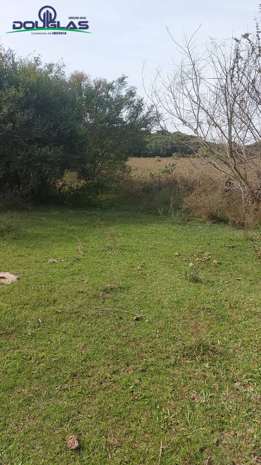 Terreno, 2 hectares - Foto 2