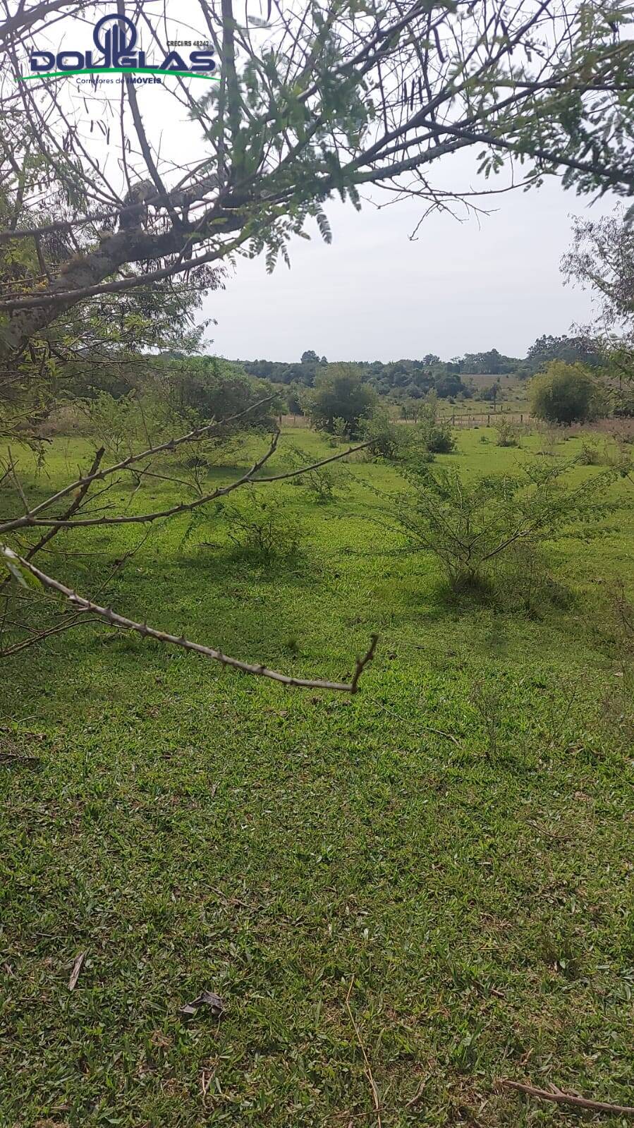 Terreno, 2 hectares - Foto 3
