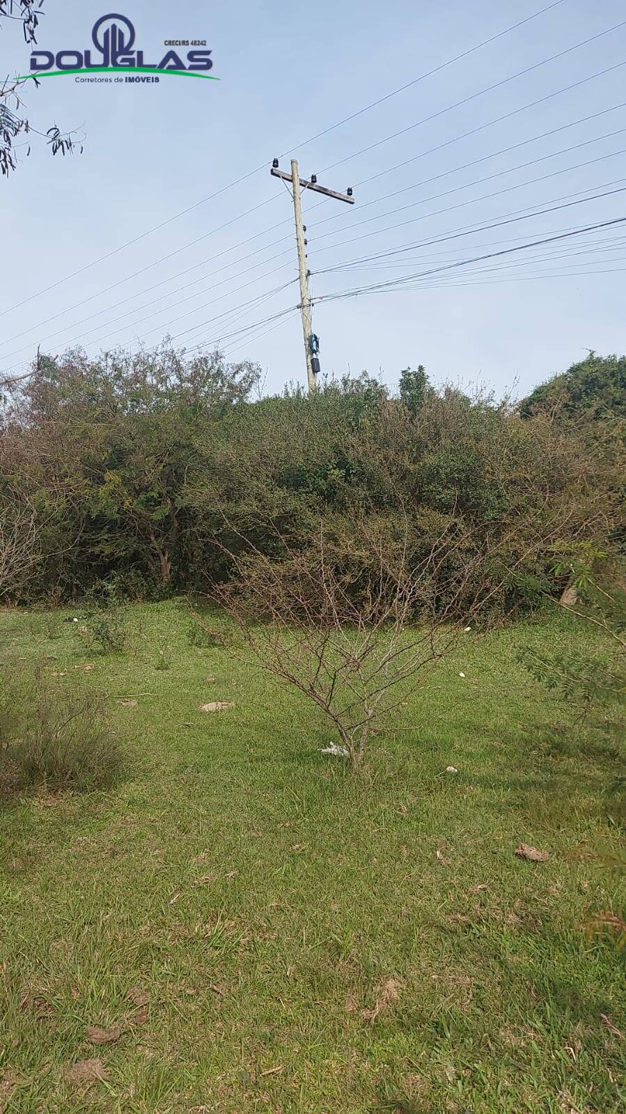 Terreno, 4 hectares - Foto 1