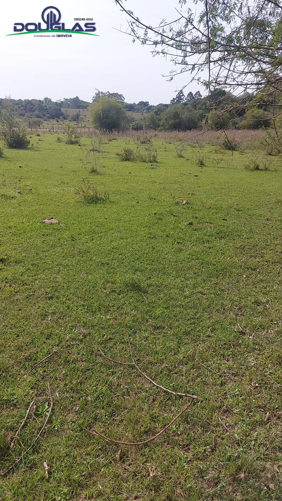 Terreno, 4 hectares - Foto 5