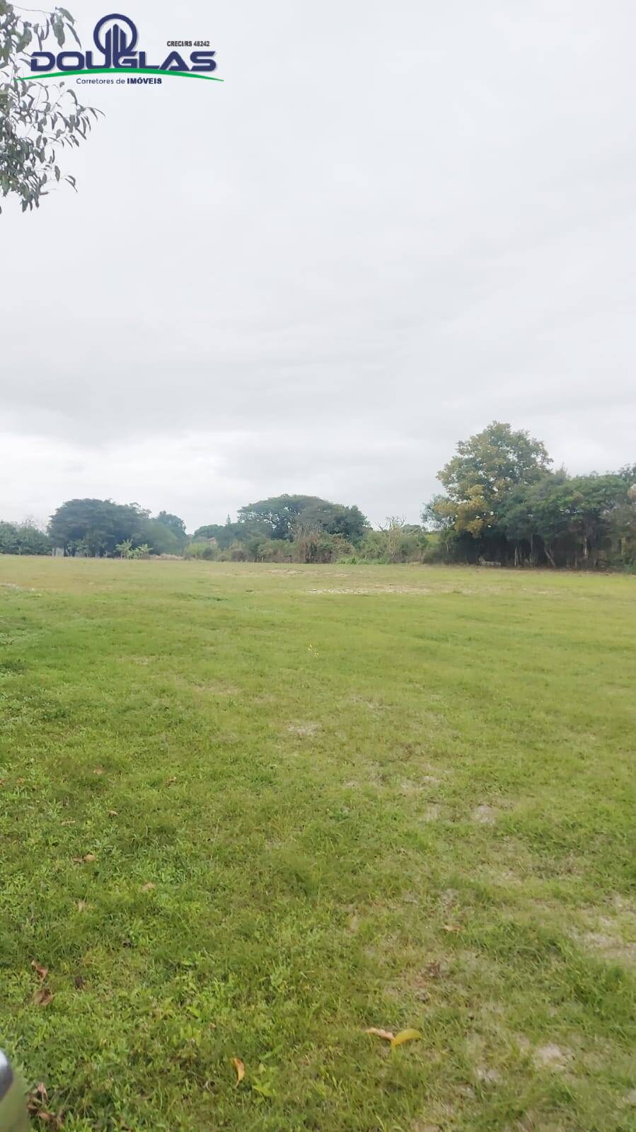 Sítio, 3 quartos, 2 hectares - Foto 23