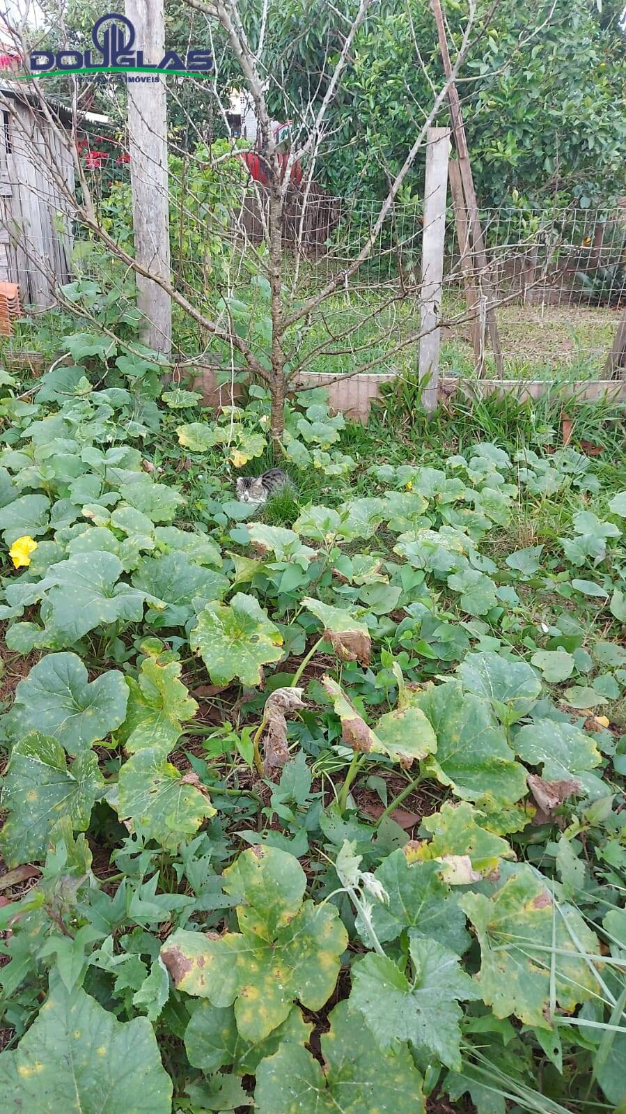 Casa, 2 quartos - Foto 16