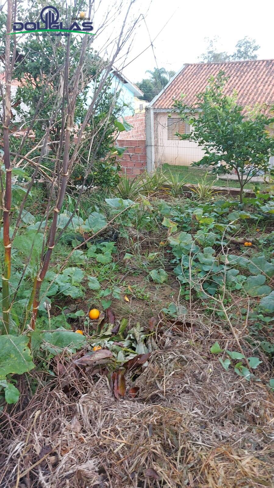 Casa, 2 quartos - Foto 15