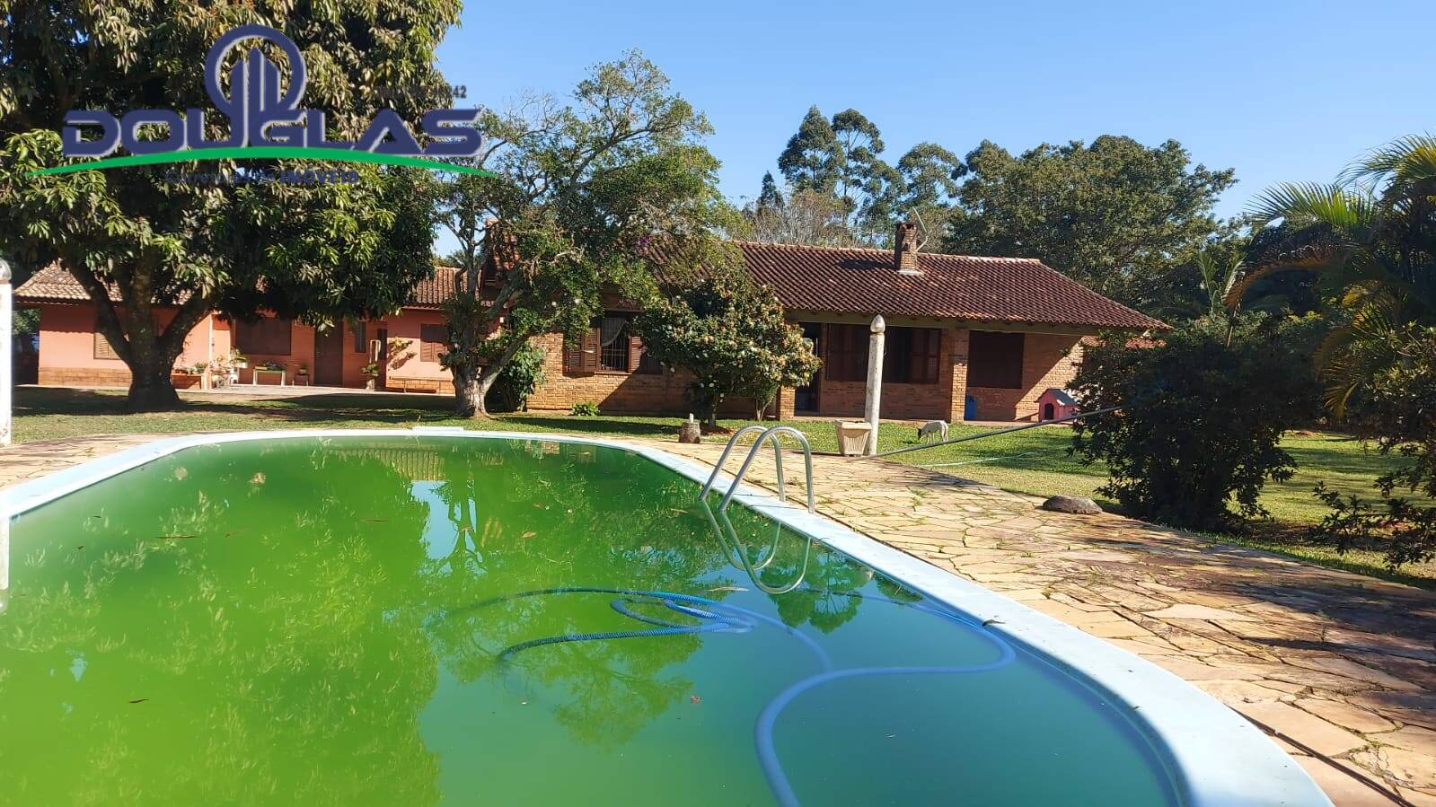 Casa, 4 quartos - Foto 4