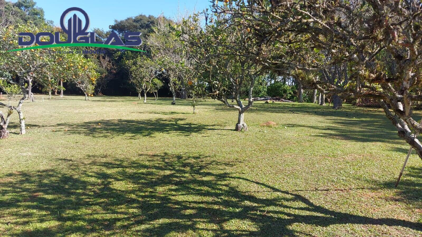 Casa, 4 quartos - Foto 34