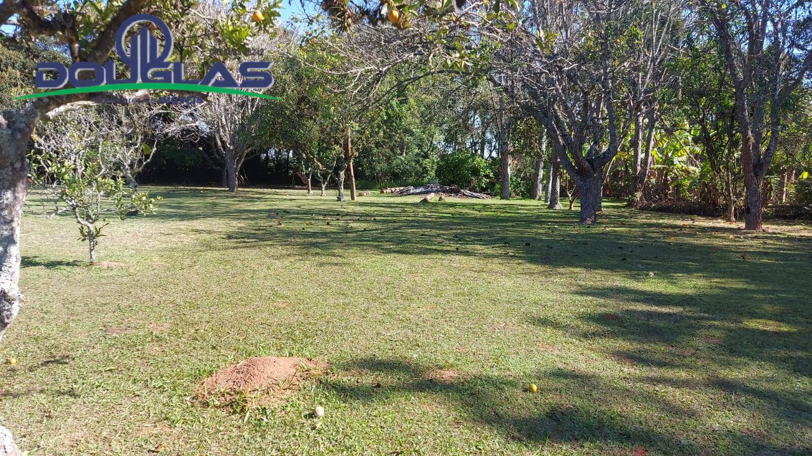 Casa, 4 quartos - Foto 35