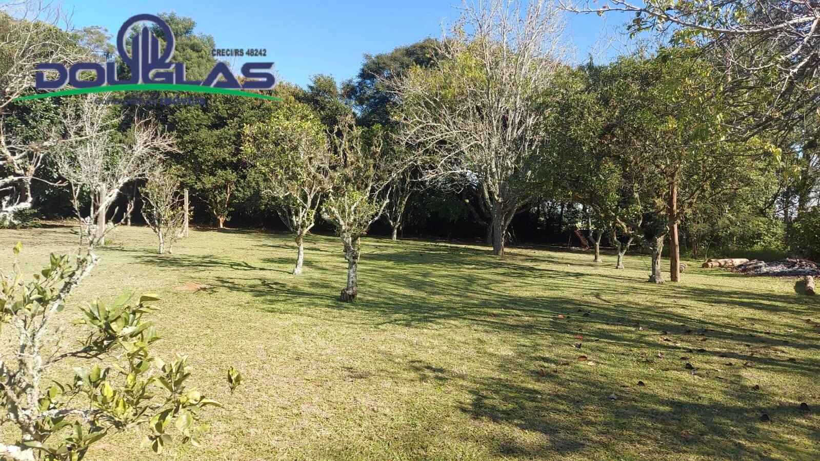 Casa, 4 quartos - Foto 38