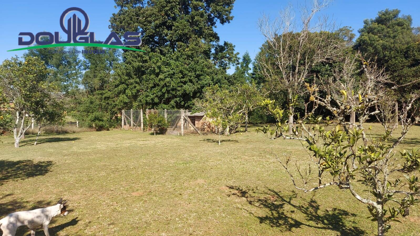 Casa, 4 quartos - Foto 37