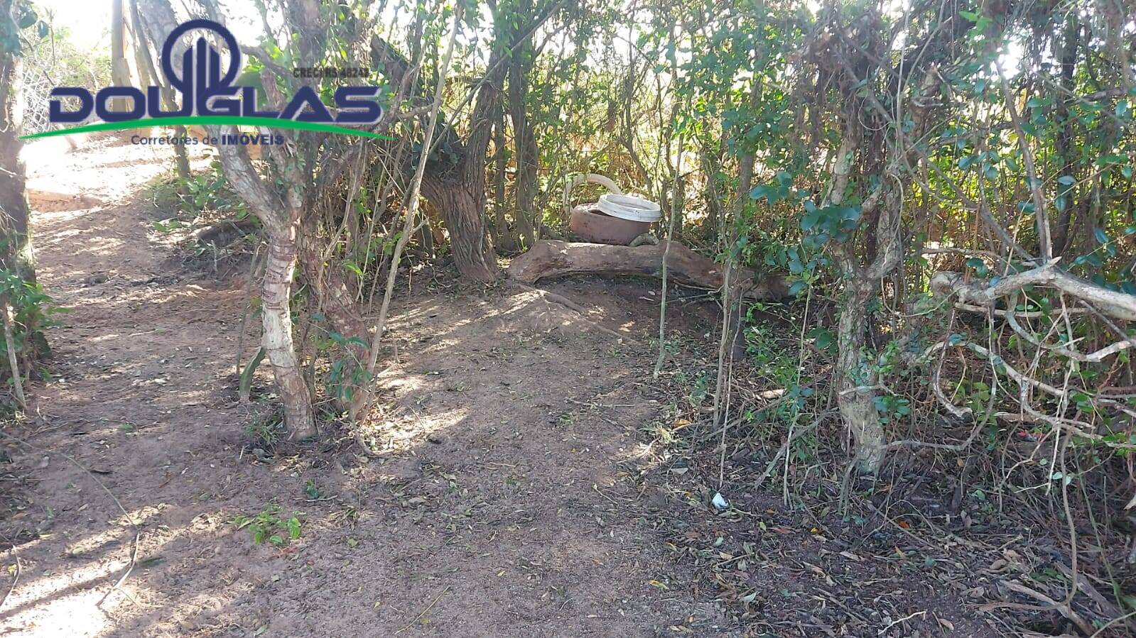 Chácara à venda com 2 quartos, 204080m² - Foto 11