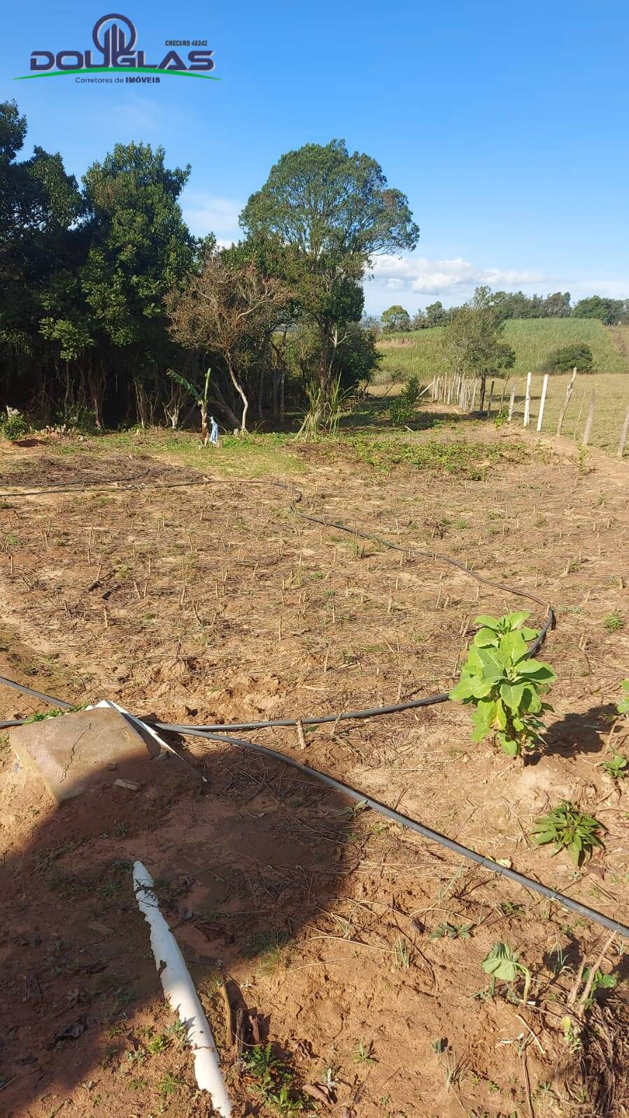 Chácara à venda com 2 quartos, 204080m² - Foto 13