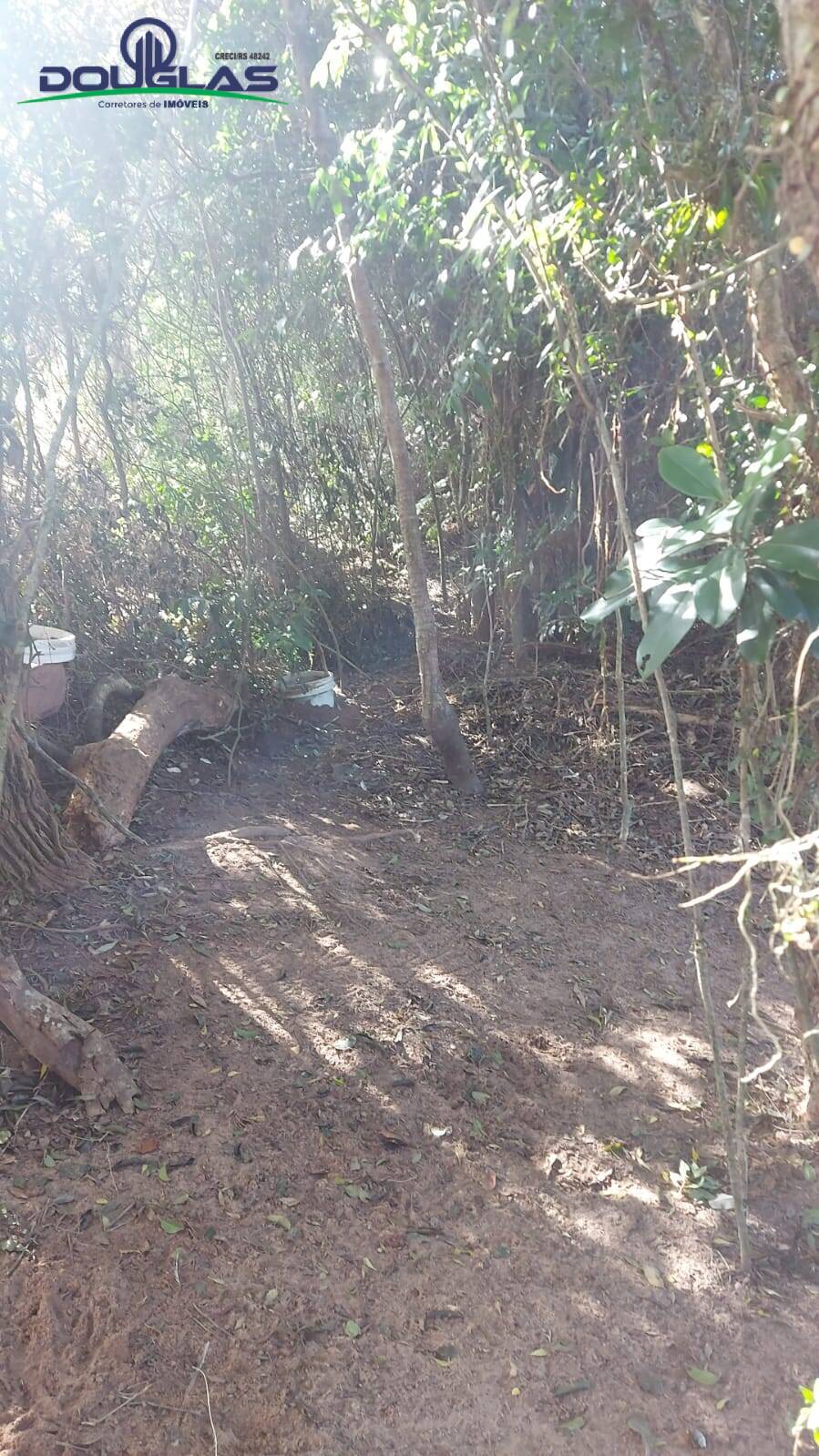 Chácara à venda com 2 quartos, 204080m² - Foto 12