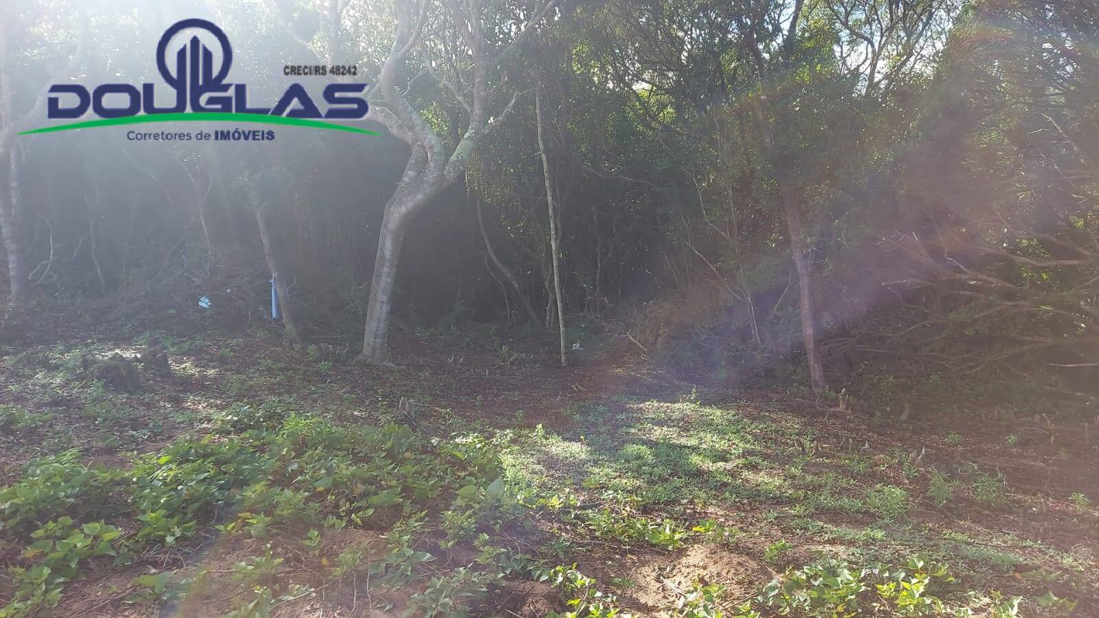 Chácara à venda com 2 quartos, 204080m² - Foto 16