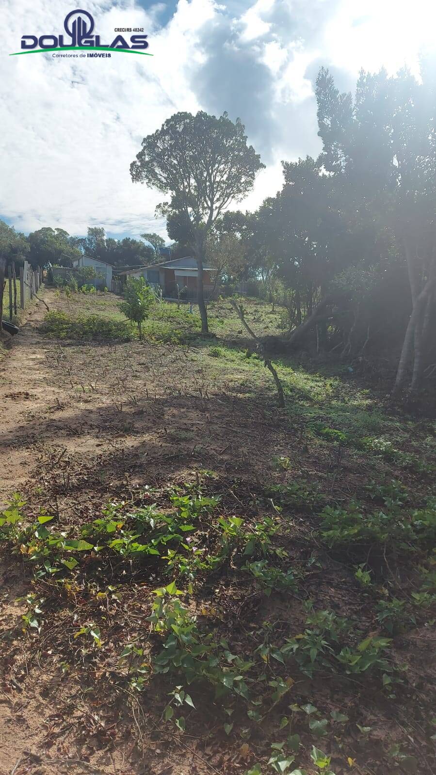 Chácara à venda com 2 quartos, 204080m² - Foto 17